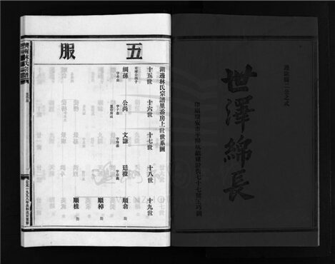 _[浙江樂清]重修濟南林氏宗譜（第九冊）__
