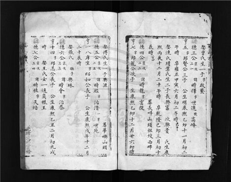 _[浙江樂清]重修林氏房譜（第二冊）__