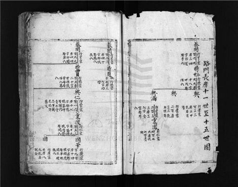 _[浙江樂清]重修林氏房譜（第一冊）__