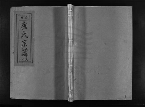 _[浙江樂清]重修盧氏宗譜（第二冊）__