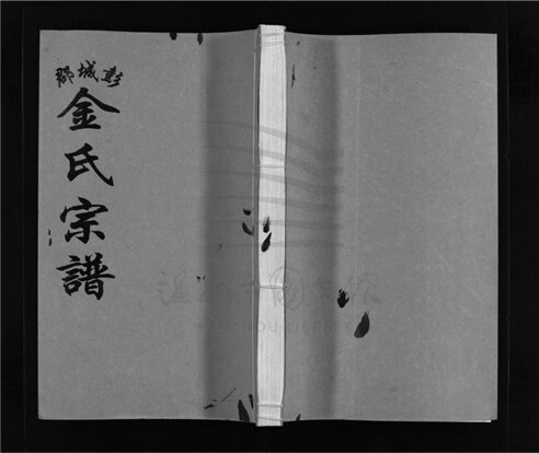 _[浙江樂清]重修彭城郡金氏宗譜五卷（第二冊卷二）__