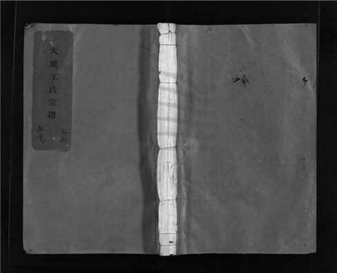 _[浙江瑞安]重修王氏宗譜（第二冊上）__