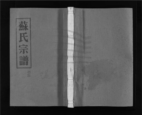 _[浙江平陽]重修武功郡蘇氏宗譜（第三冊）__
