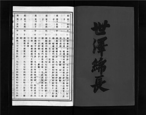 _[浙江樂清]增修華陽王氏宗譜（第十五冊）__