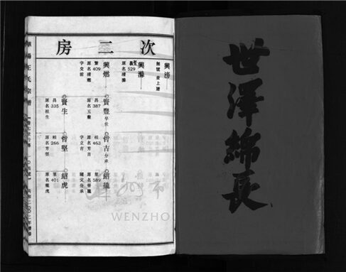 _[浙江樂清]增修華陽王氏宗譜（第八冊）__
