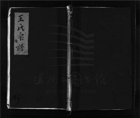 _[浙江樂清]重修華陽王氏宗譜（第十四冊）__