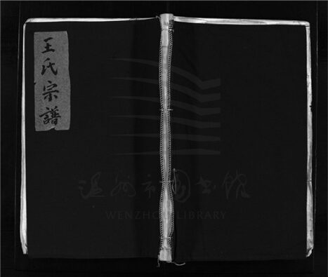 _[浙江樂清]重修華陽王氏宗譜（第八冊）__