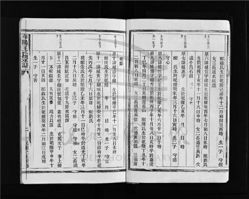 _[浙江樂清]重修華陽王氏宗譜五卷（第四冊卷五）__