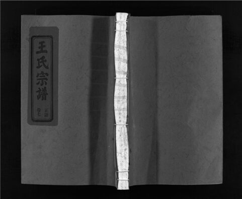 _[浙江樂清]重修左原王氏宗譜十四卷（第七冊卷七）__