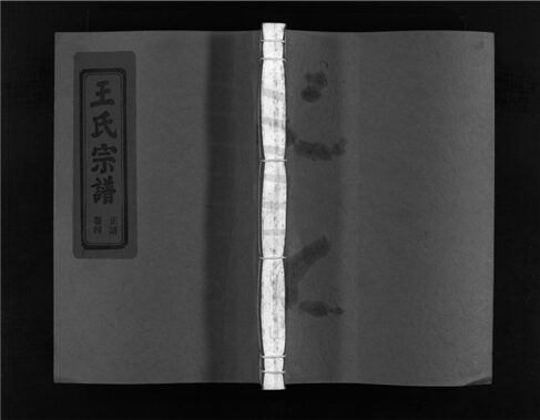 _[浙江樂清]重修左原王氏宗譜十四卷（第四冊卷四）__