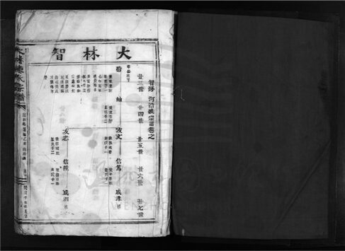 _[浙江樂清]重修大林陳氏宗譜（第四冊）__