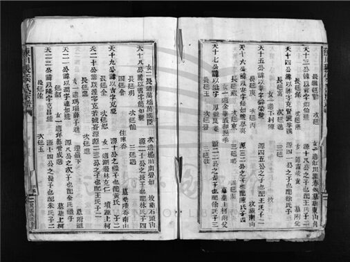 _[浙江樂清]重修陳川張侯氏宗譜（第十冊）__