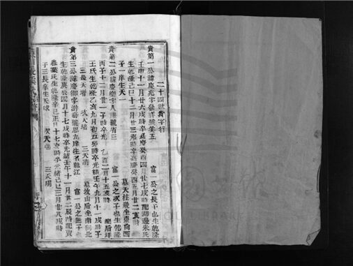 _[浙江樂清]重修陳川張侯氏宗譜（第八冊）__