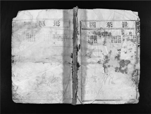 _[浙江樂清]重修鶴峰連氏宗譜（第八冊）__
