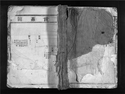 _[浙江樂清]重修鶴峰連氏宗譜（第五冊）__