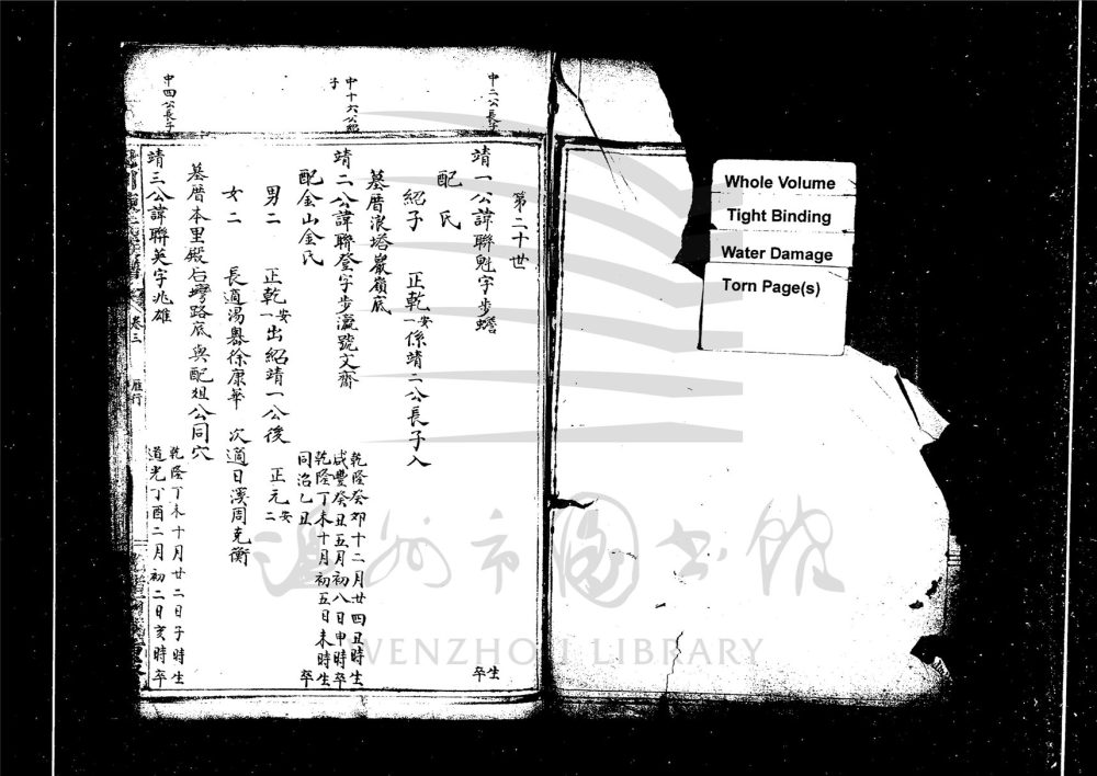_[浙江瑞安]重修包山陳氏宗譜（第十一冊）__