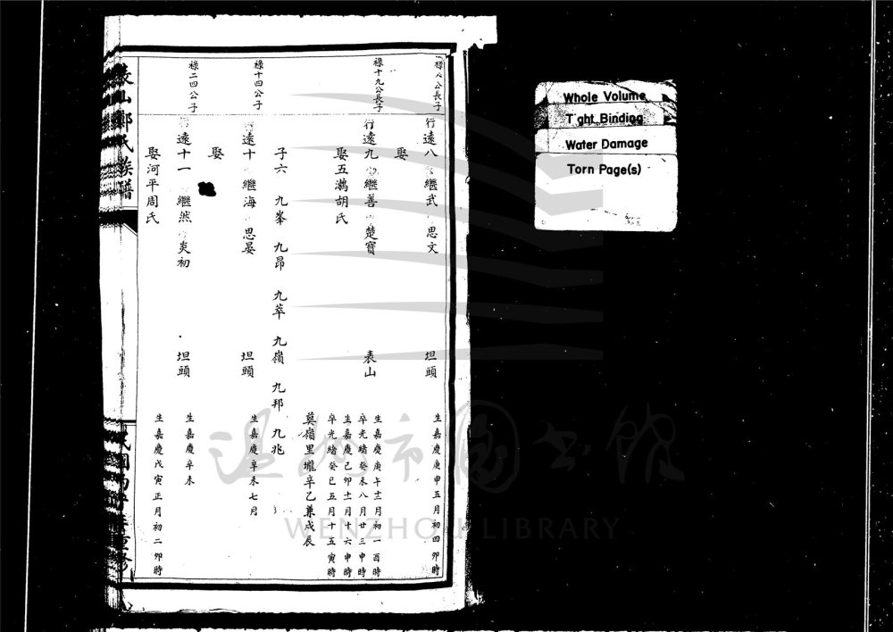_[浙江永嘉]重修表山鄭氏族譜（第四冊）__