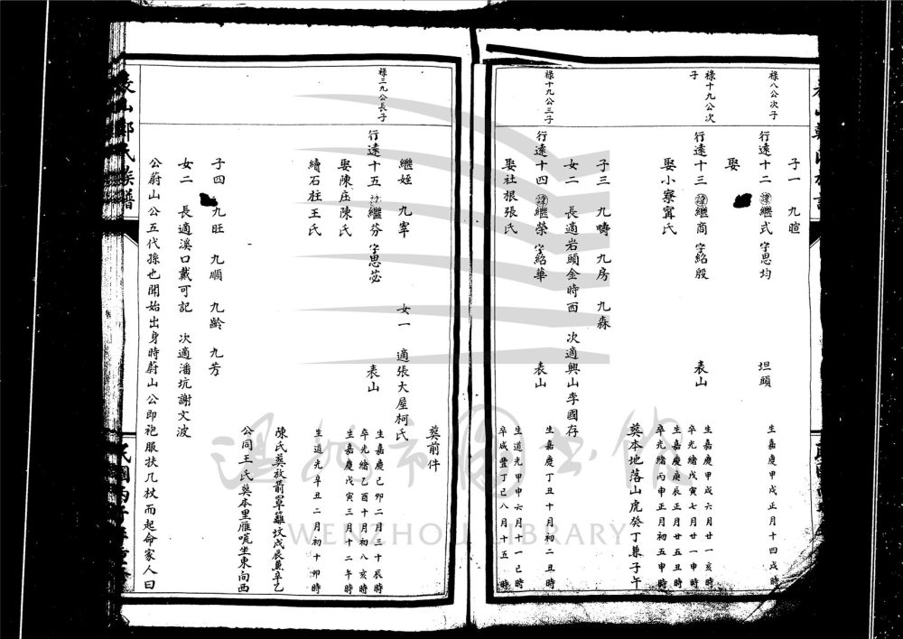 _[浙江永嘉]重修表山鄭氏族譜（第四冊）__