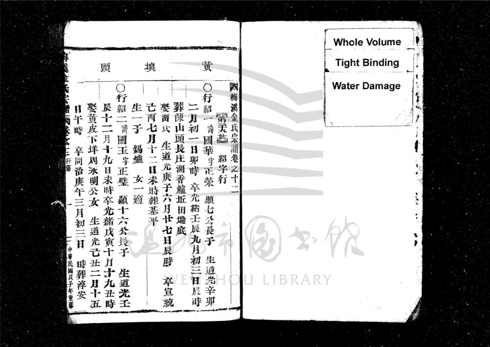 _[浙江樂清]重修梅溪金氏宗譜十三卷（第十九冊卷十二）__