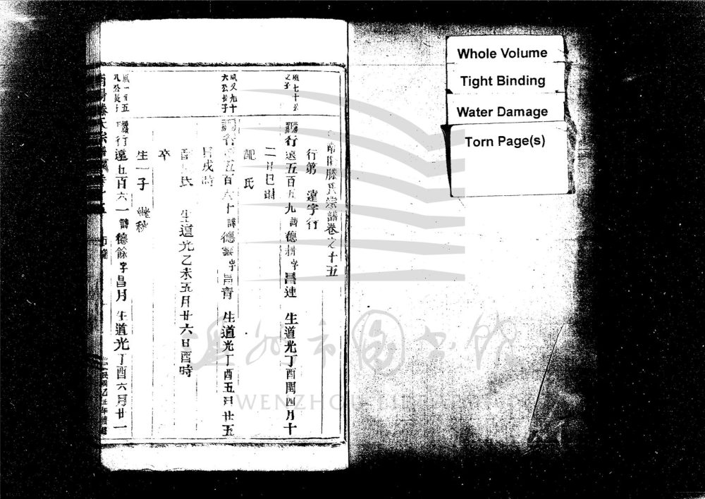 _[浙江台州]重修南陽滕氏宗譜（第八冊）__