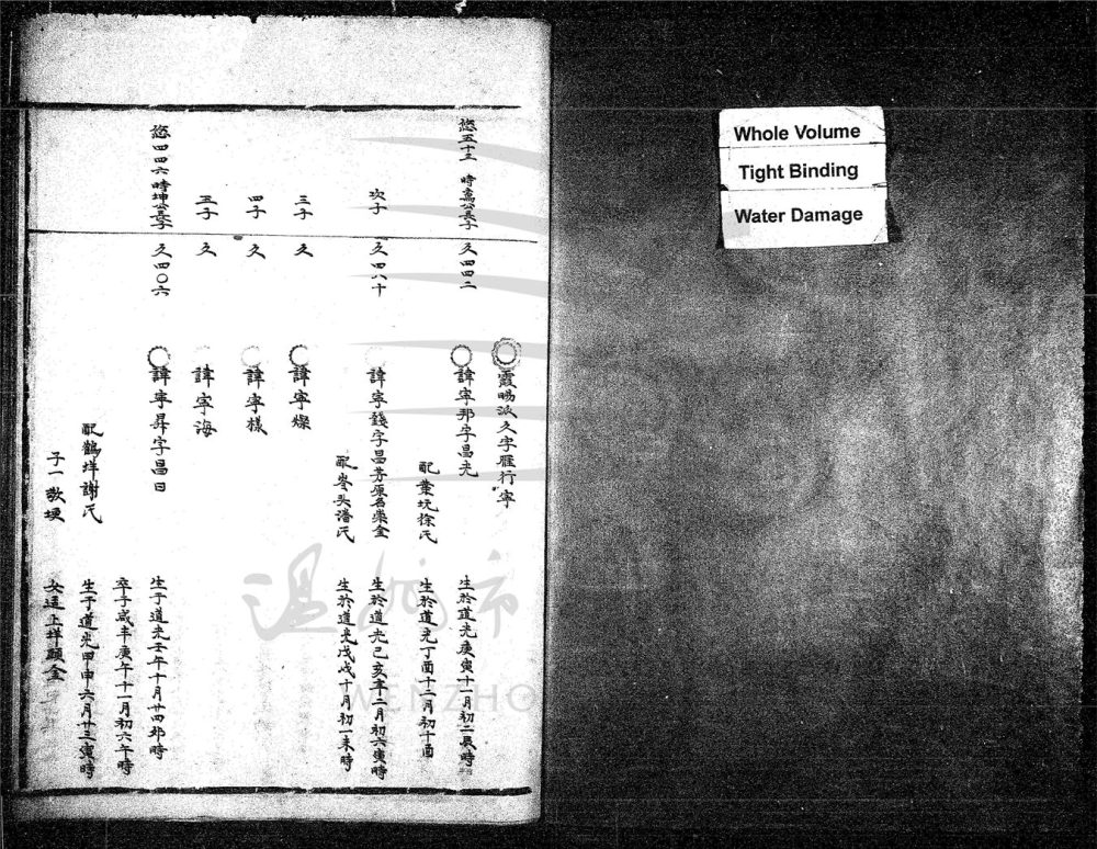 _[浙江永嘉]續修西源谷氏族譜（第七冊）__