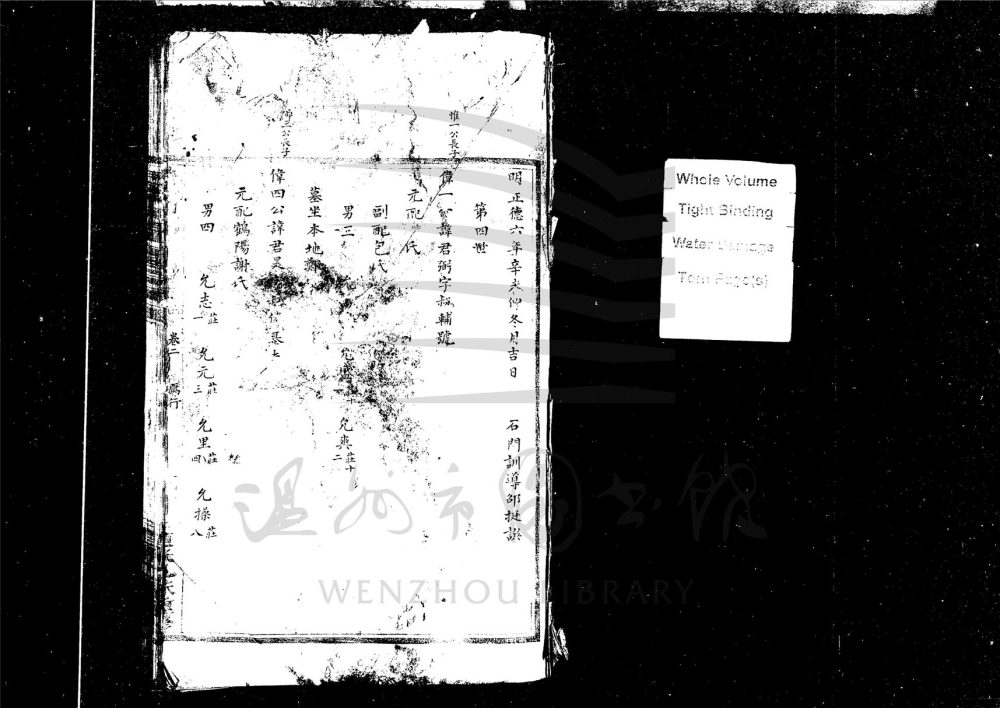 _[浙江瑞安]柟溪大源包山陳氏宗譜三卷（第二冊卷二）__