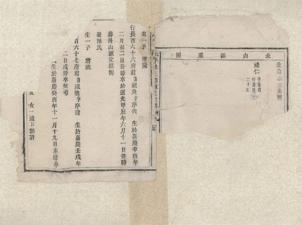 _太平廿三都林氏宗譜五卷（第四冊卷五上）__