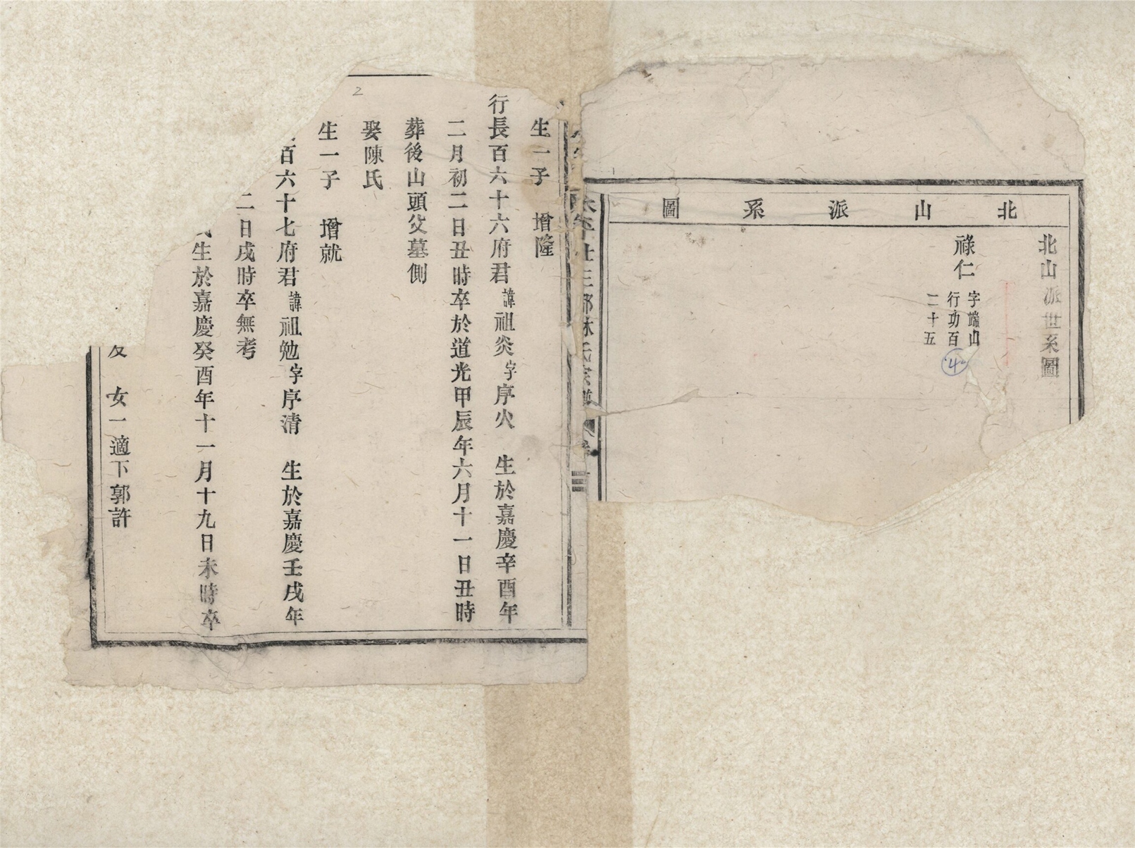 _太平廿三都林氏宗譜五卷（第四冊卷五上）__
