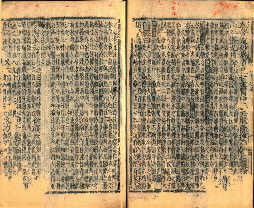 _經史證類大觀本草三十一卷（第十七冊卷二十五至二十八）__