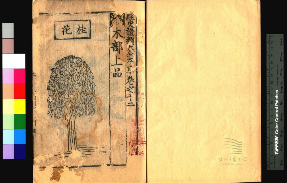 _經史證類大觀本草三十一卷（第十冊卷十二）__