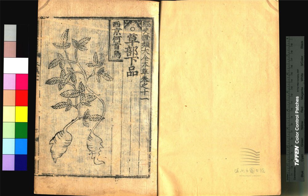 _經史證類大觀本草三十一卷（第九冊卷十一）__