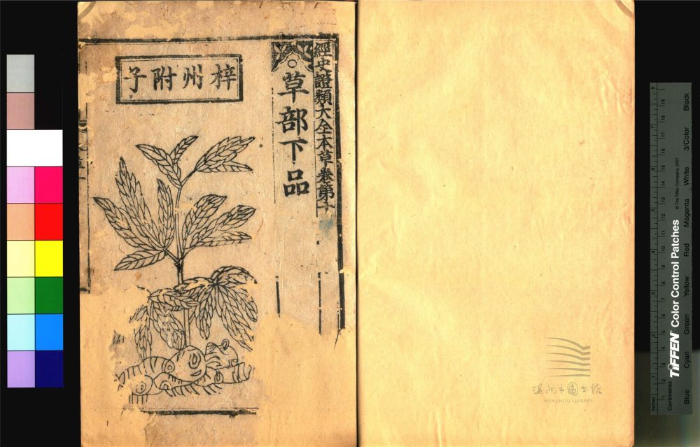 _經史證類大觀本草三十一卷（第八冊卷十）__