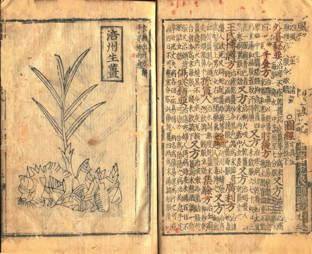 _經史證類大觀本草三十一卷（第六冊卷八）__