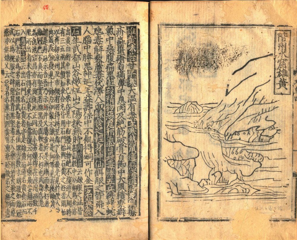_經史證類大觀本草三十一卷（第三冊卷四至五）__