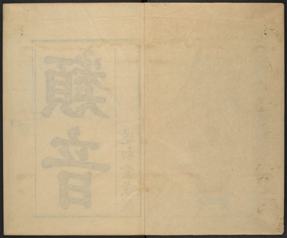 _类音_v.__ _类音_v.__