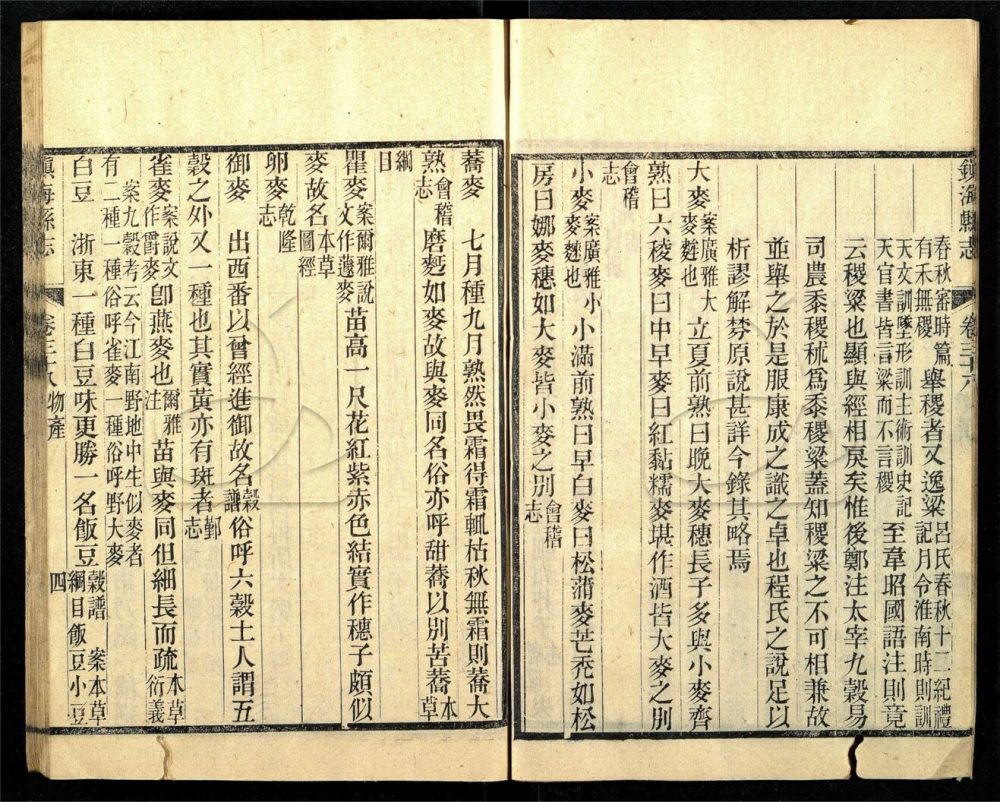 -【光緒】鎮海縣志四十卷-第十五册__ -【光緒】鎮海縣志四十卷-第十五册__