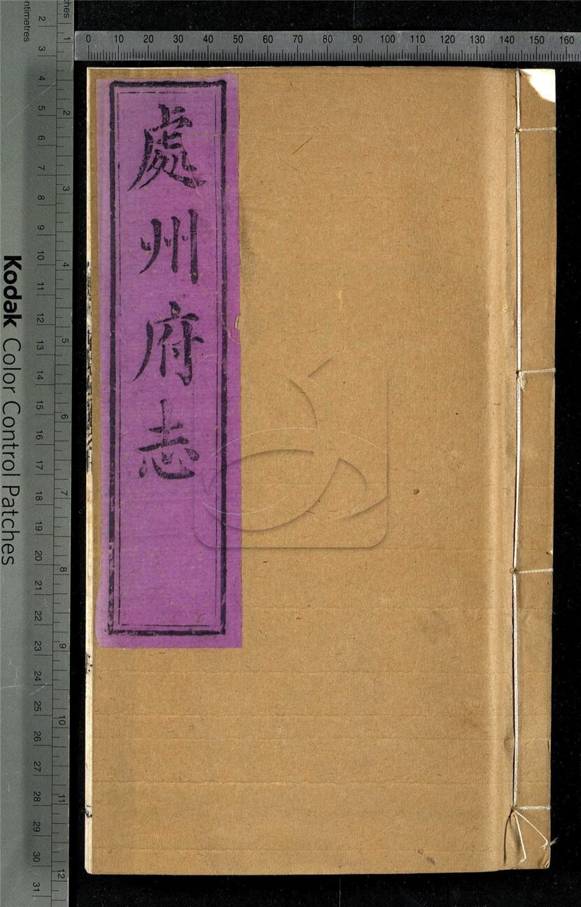 -【光緒】處州府志三十卷首一卷末一卷-第九册__