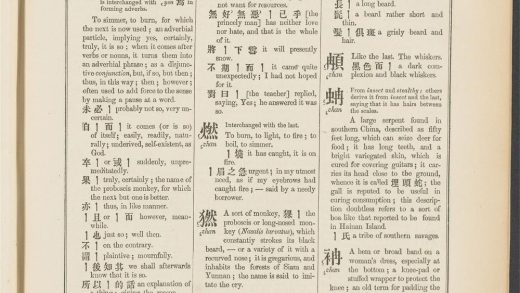 _A_syllabic_dictionary_of_the_Chinese_language_JAN.,_pp._-__