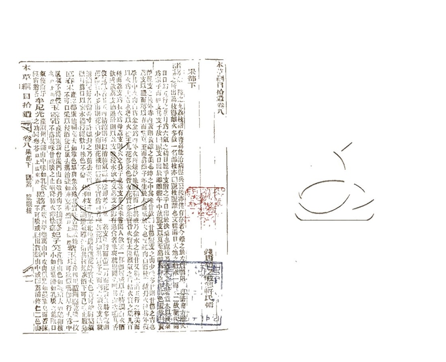 -增廣本草綱目五十二卷-第二十三册__ -增廣本草綱目五十二卷-第二十三册__