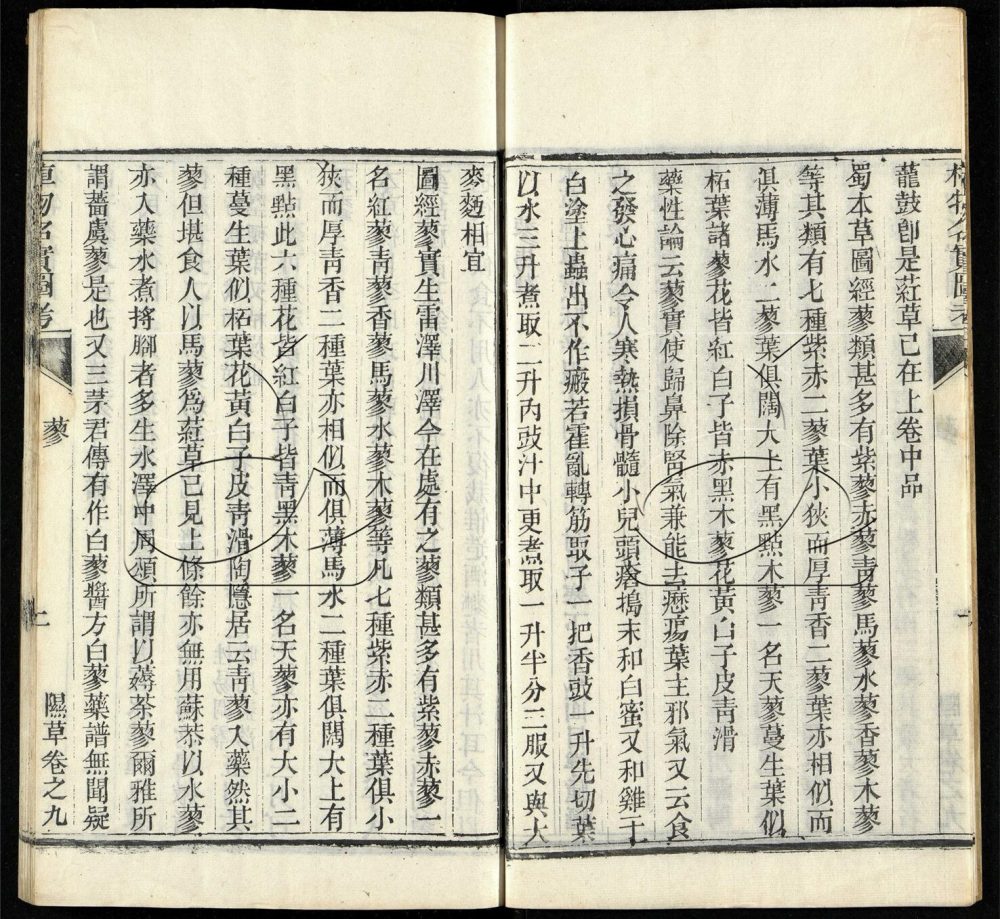 -植物名實圖考（殘）-第一册__