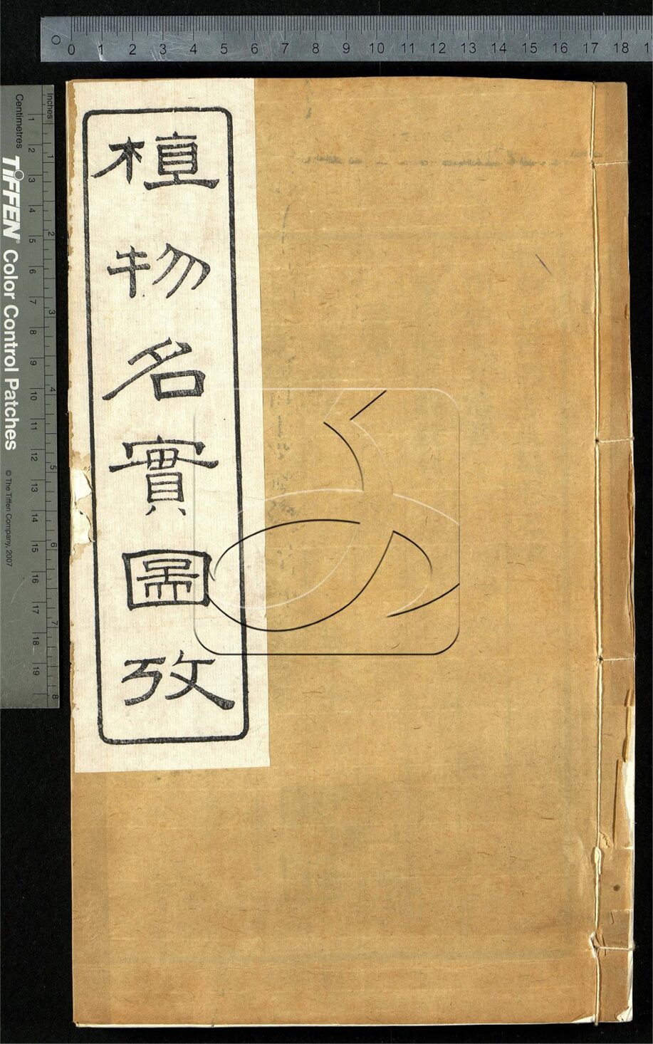 -植物名實圖考（殘）-第二册__