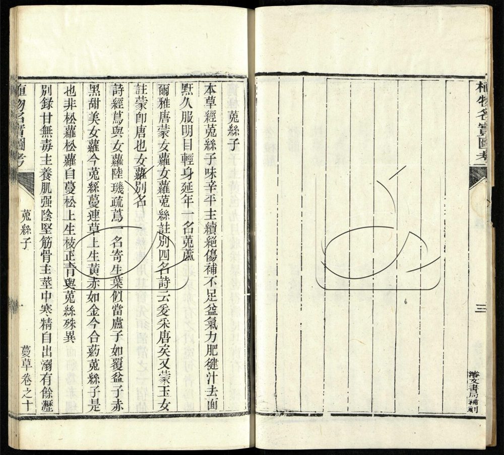 -植物名實圖考（殘）-第二册__