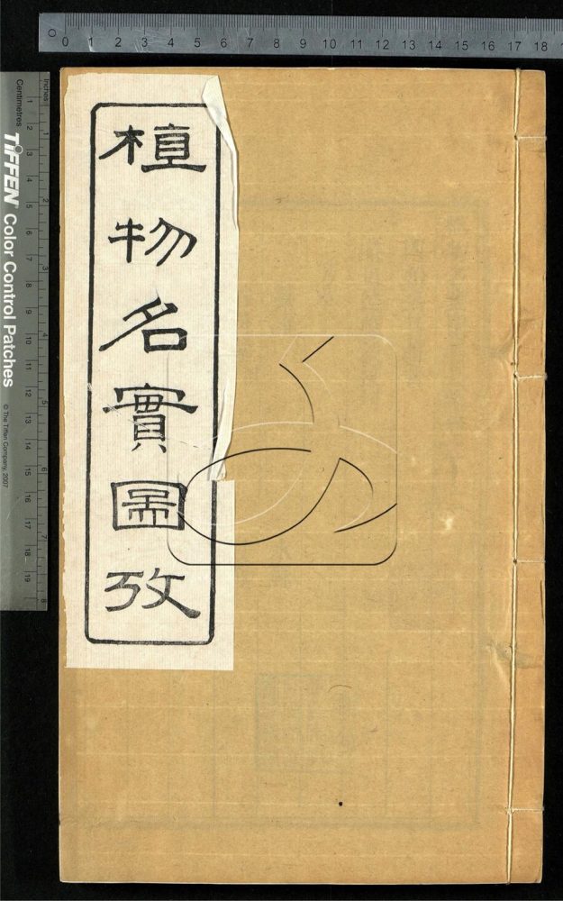 -植物名實圖考（殘）-第四册__