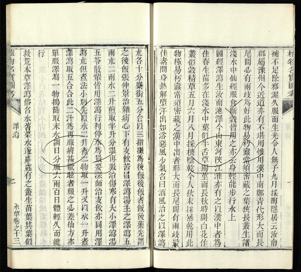 -植物名實圖考（殘）-第五册__