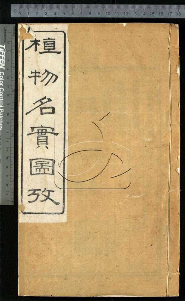 -植物名實圖考（殘）-第八册__