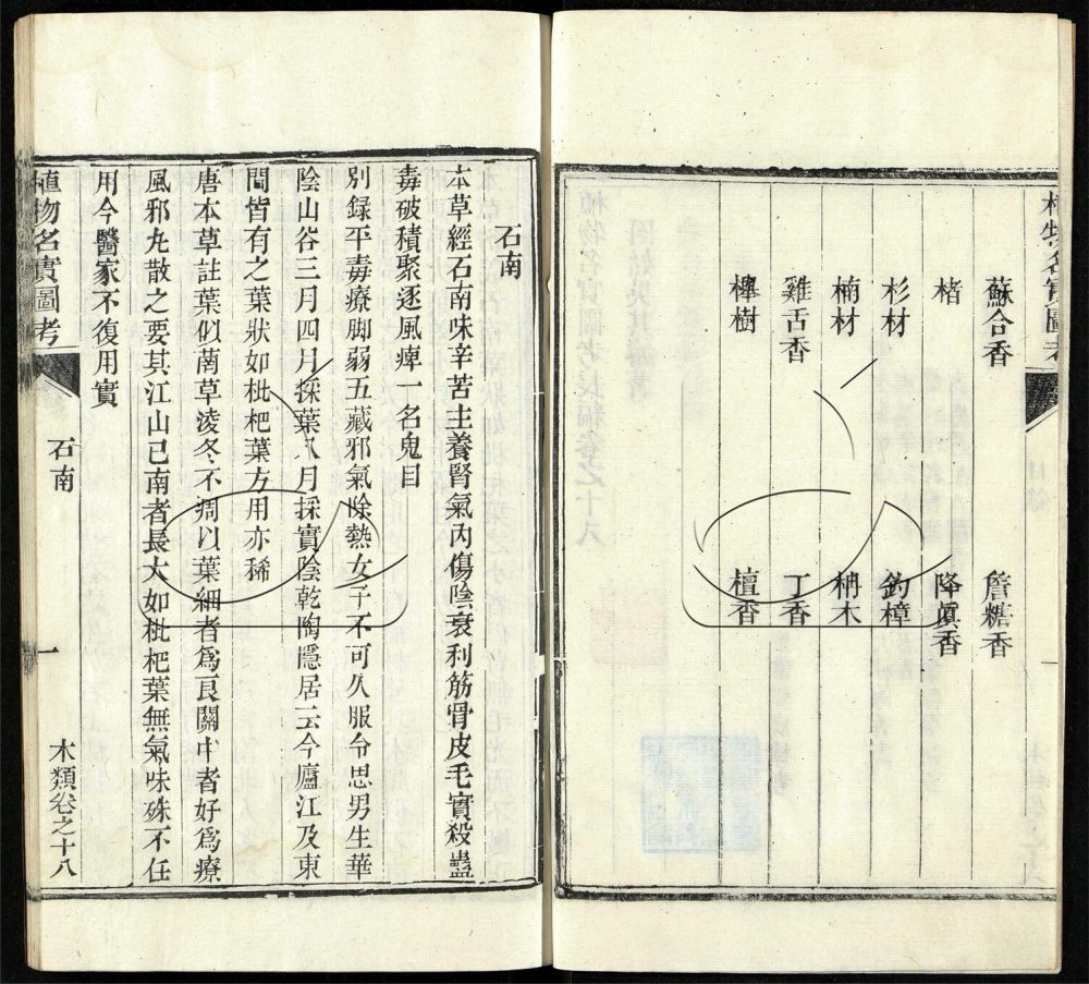 -植物名實圖考（殘）-第十册__