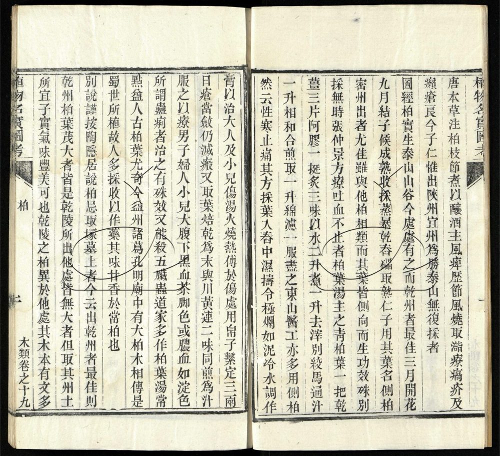 -植物名實圖考（殘）-第十一册__
