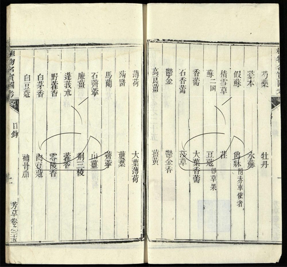 -植物名實圖考（殘）-第十六册__