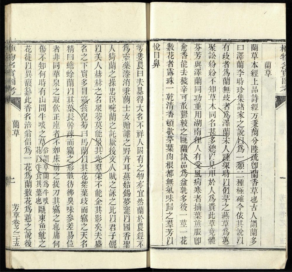 -植物名實圖考（殘）-第十六册__