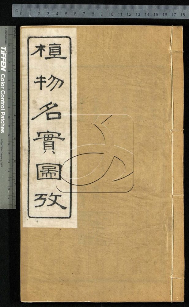 -植物名實圖考（殘）-第二十七册__